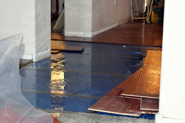 Professional Basement Flood Cleanup technician working in North Jackson, OH